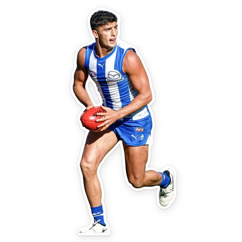 North Melbourne Kangaroos Harry Sheezel Wall Decal
