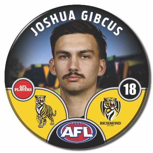 Richmond Tigers 2025 Player Pin Badge - GIBCUS