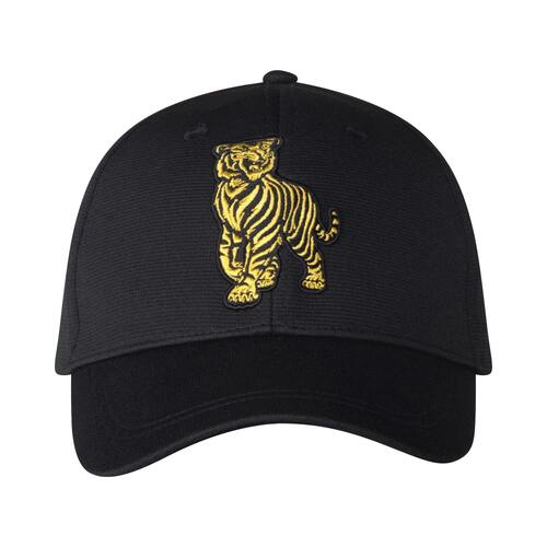 Richmond Tigers Colour 3D Logo Cap