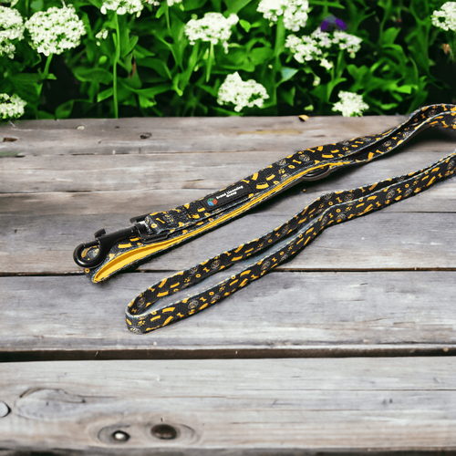 Richmond Tigers Dog Lead