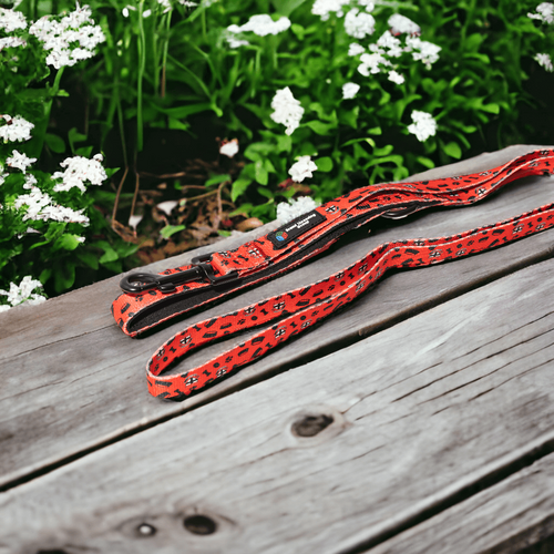 St Kilda Saints Dog Lead