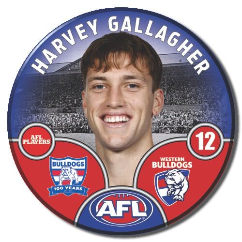 Western Bulldogs 2025 Player Pin Badge - GALLAGHER
