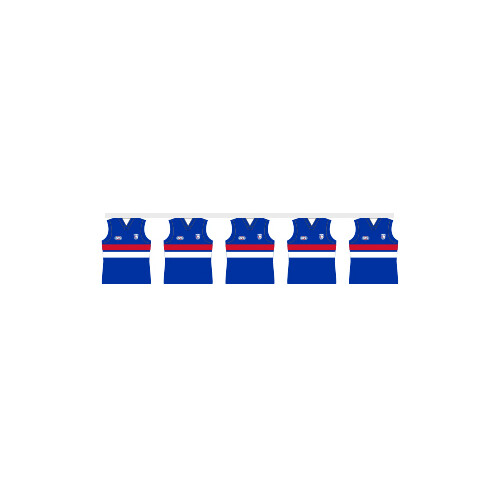 Western Bulldogs Party Bunting