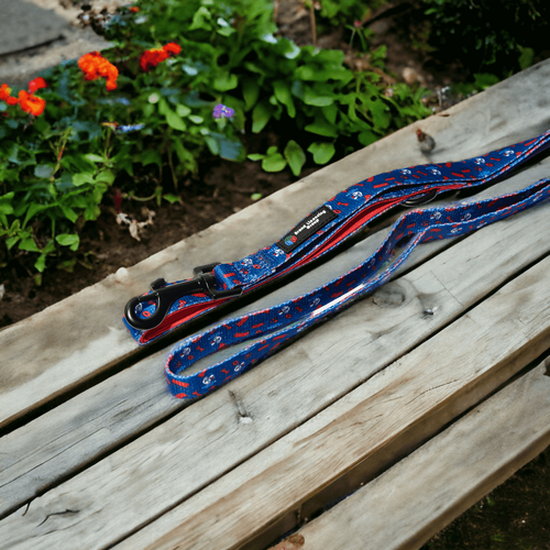 Western Bulldogs Dog Lead