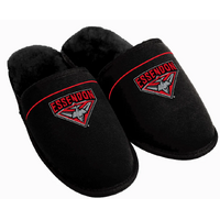 Footwear image
