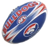 Western Bulldogs image