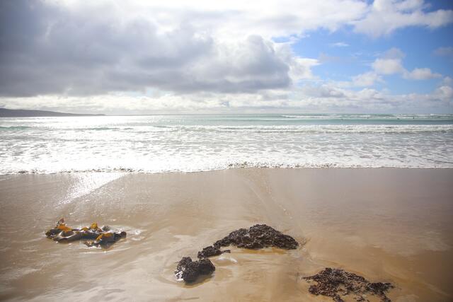 Anglesea image