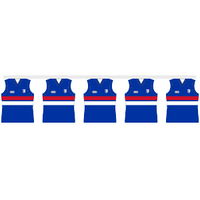 AFL Party Supplies & Decorations image