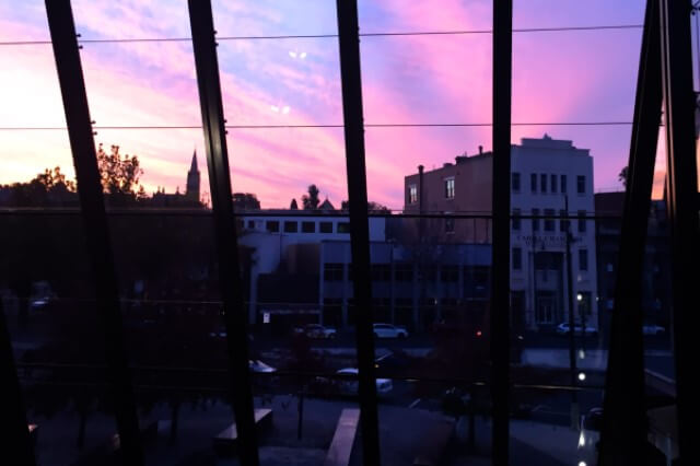 Bendigo image
