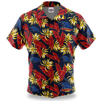 Hawaiian Shirts image