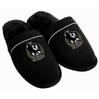 Footwear image